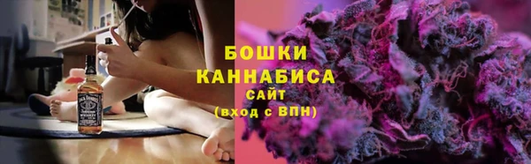 мдпв Болохово