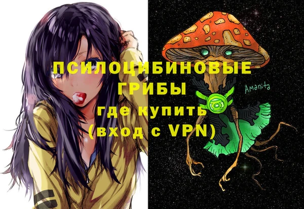 гидра Кулебаки