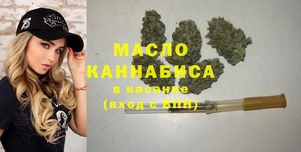 гидра Кулебаки