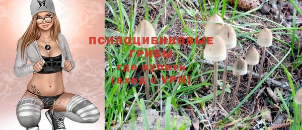 мяу мяу мука Болотное
